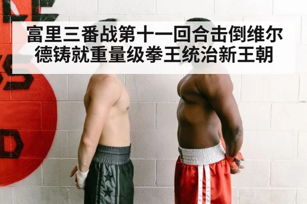 富里三番战第十一回合击倒维尔德铸就重量级拳王统治新王朝